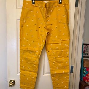 Yellow Pixie Pants
